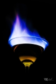 IIP Online Student Photography